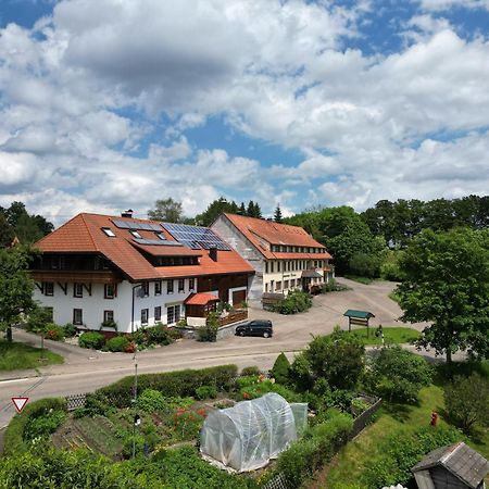 Haus Schlageter Apartment Dachsberg im Schwarzwald Exterior photo